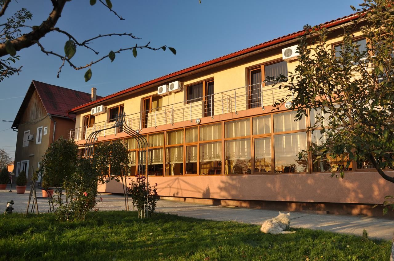 Гостевой дом Pension Andronic Тимишоара-4