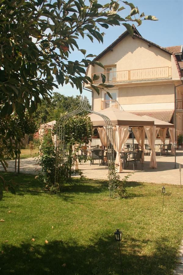 Гостевой дом Pension Andronic Тимишоара-14
