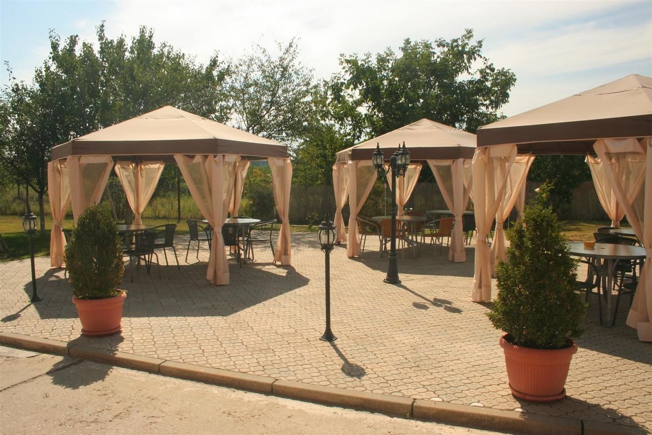 Гостевой дом Pension Andronic Тимишоара-16