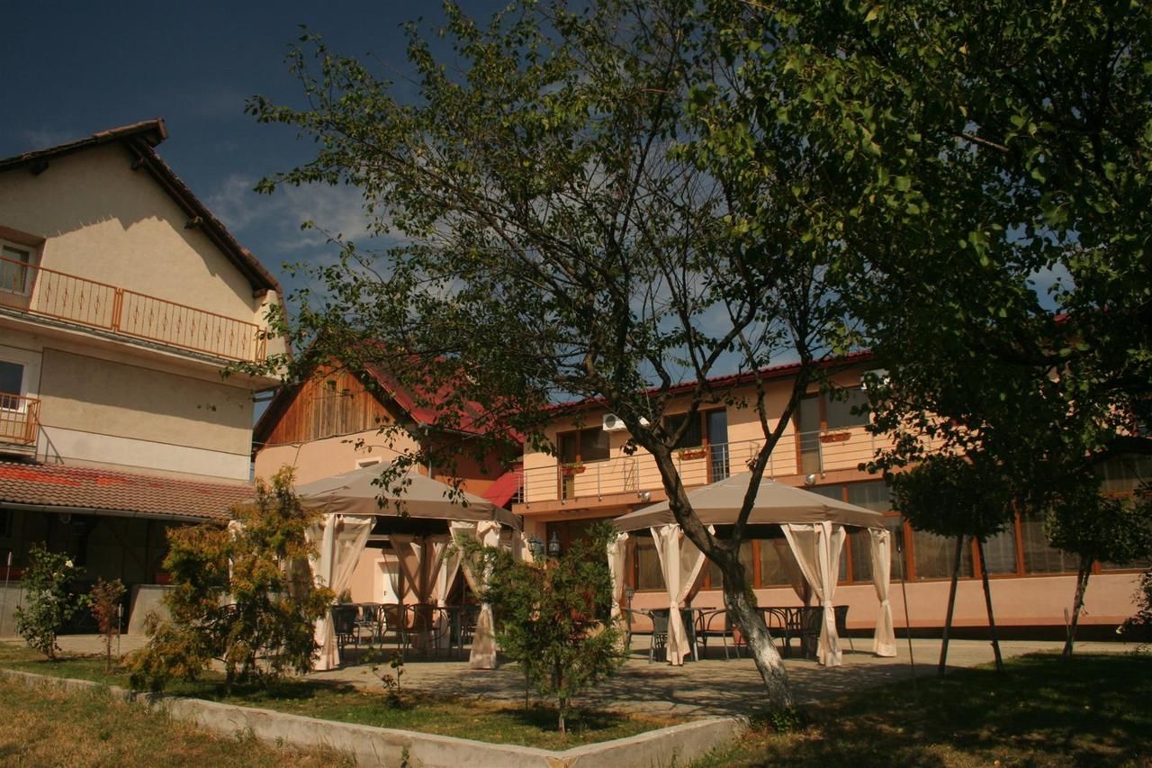 Гостевой дом Pension Andronic Тимишоара-5