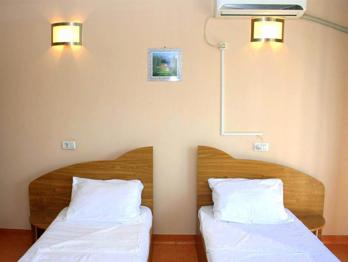 Гостевой дом Pension Andronic Тимишоара-29