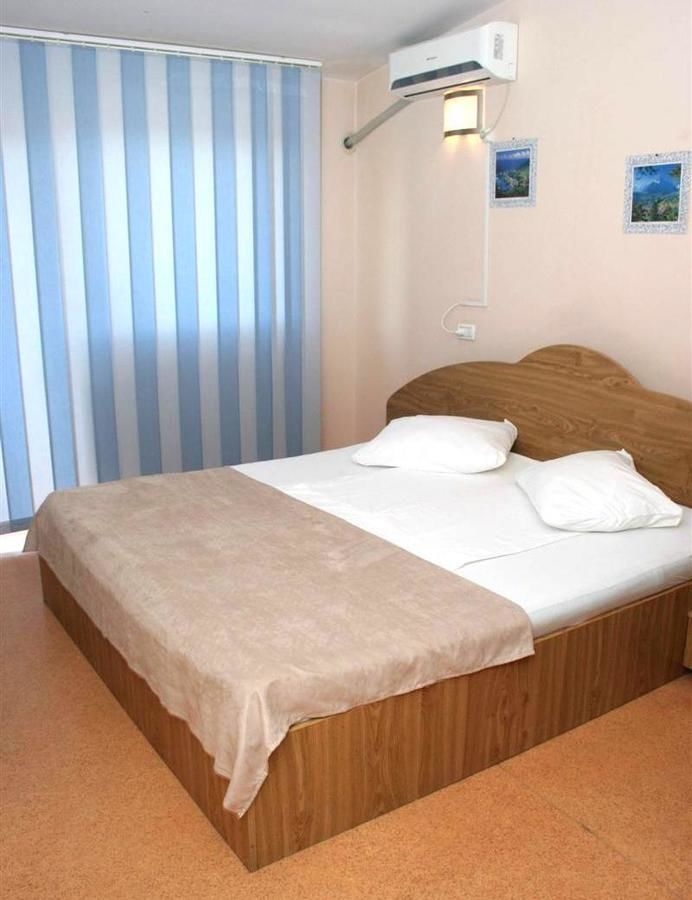 Гостевой дом Pension Andronic Тимишоара-31