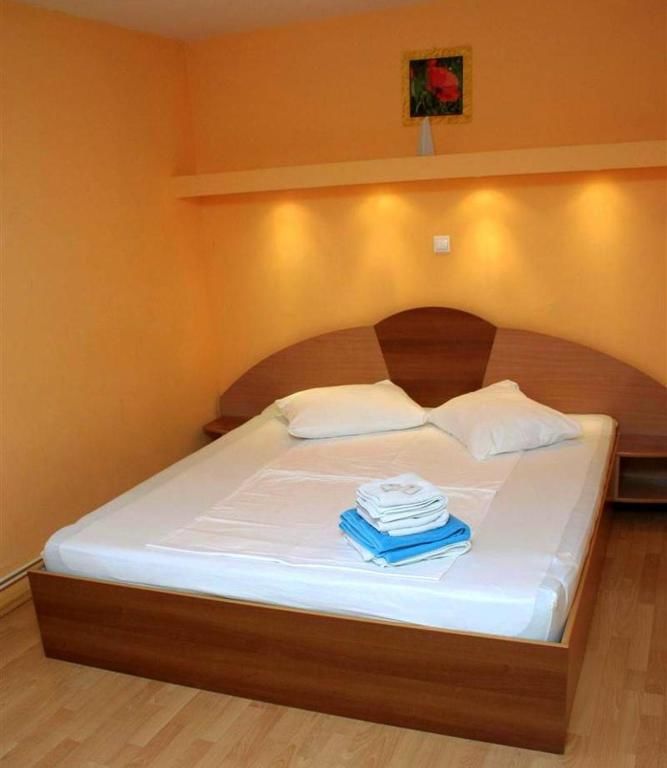 Гостевой дом Pension Andronic Тимишоара-47