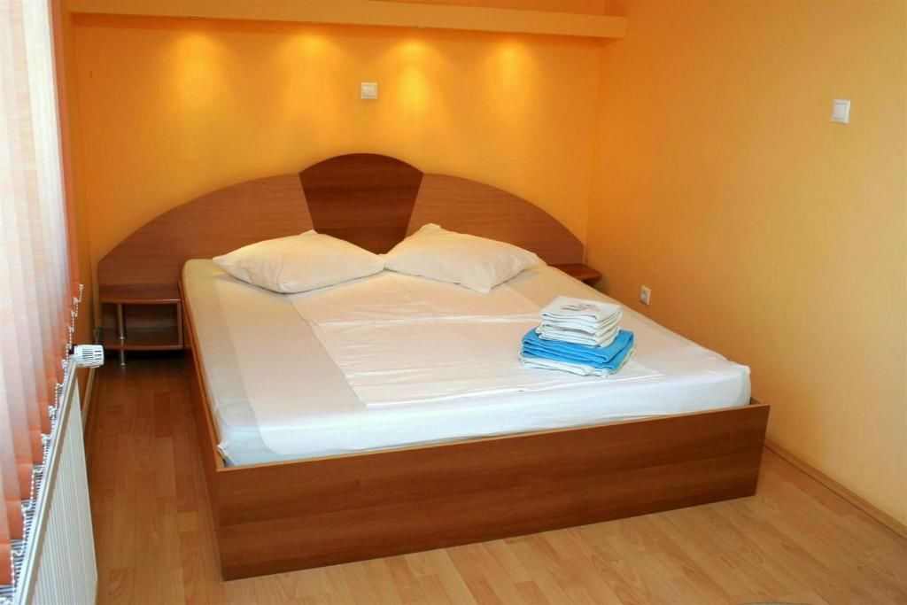 Гостевой дом Pension Andronic Тимишоара-49