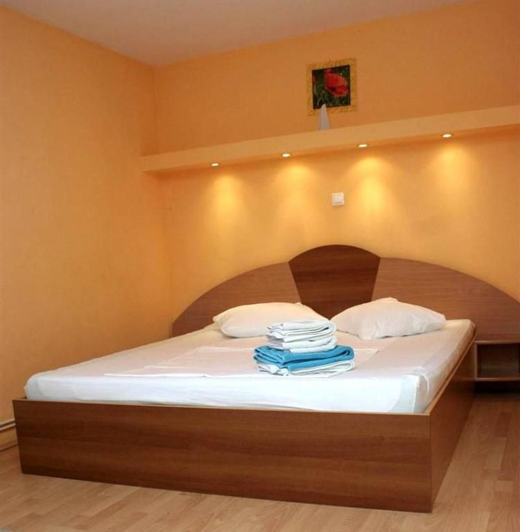 Гостевой дом Pension Andronic Тимишоара-50