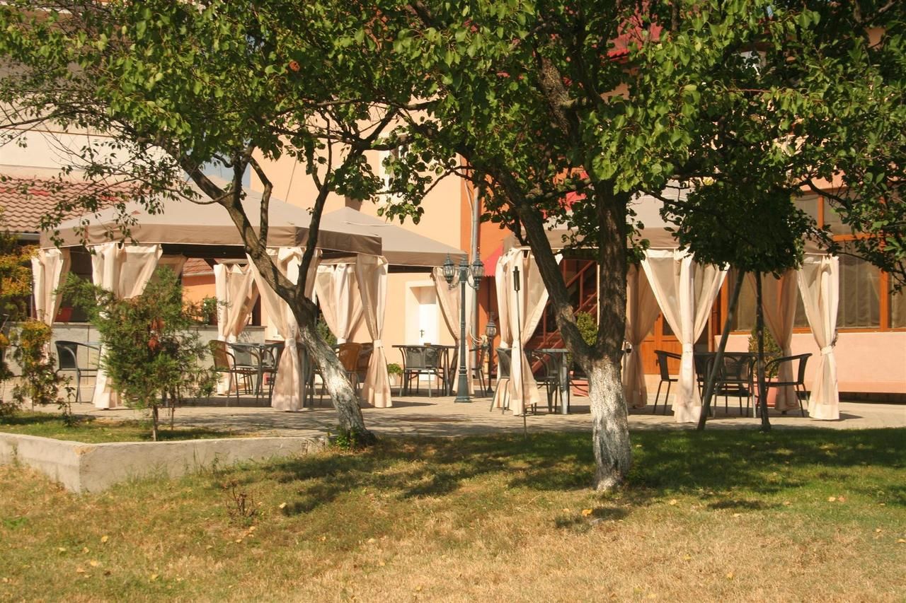 Гостевой дом Pension Andronic Тимишоара-9