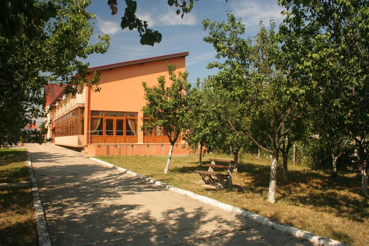 Гостевой дом Pension Andronic Тимишоара-12